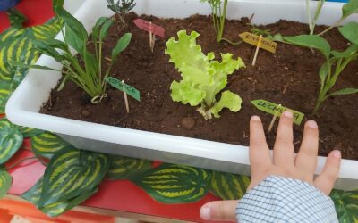 Ecosistemas y seres vivos del mundo