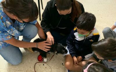 Charla sobre el cuidado de los animales