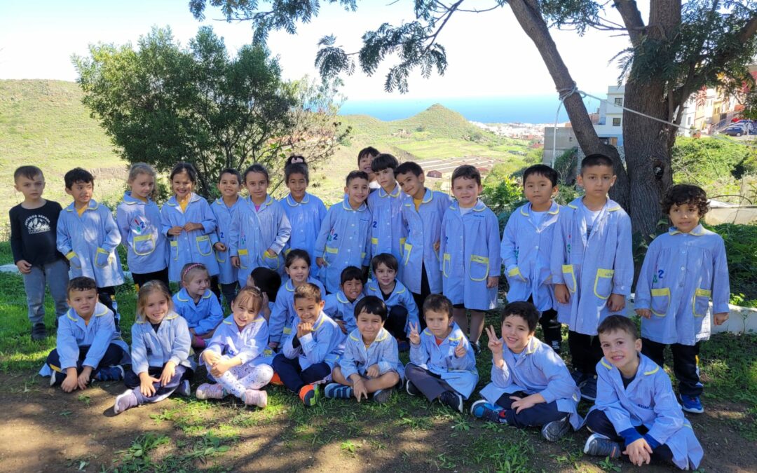 Espacios abiertos y naturaleza en nuestro colegio