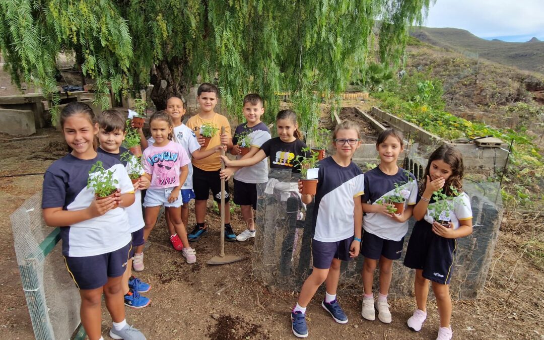 El «Huerto de los Aromas» de 3º de Primaria