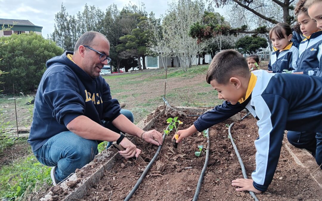 1º de Primaria en el Huerto Escolar