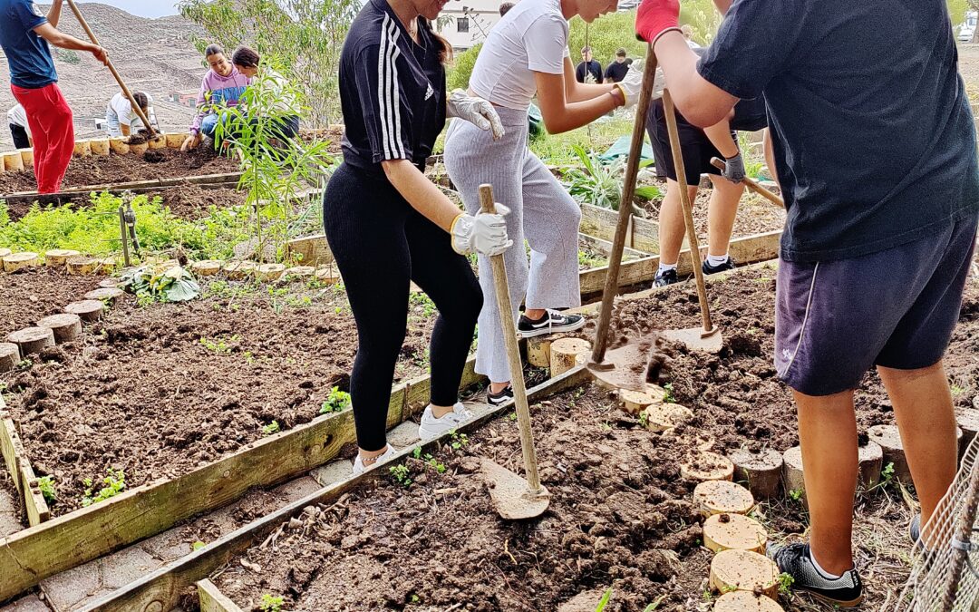 4º de la ESO cuida el Huerto Ecológico del centro