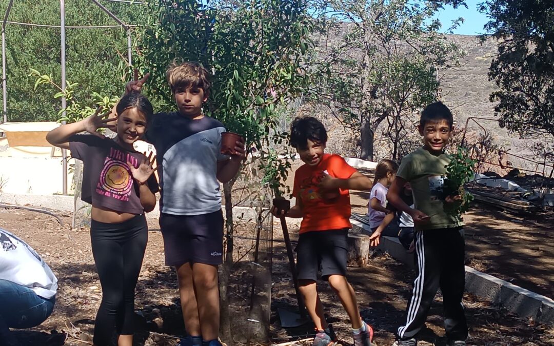 Tercero de Primaria crea su propio Huerto de los Aromas