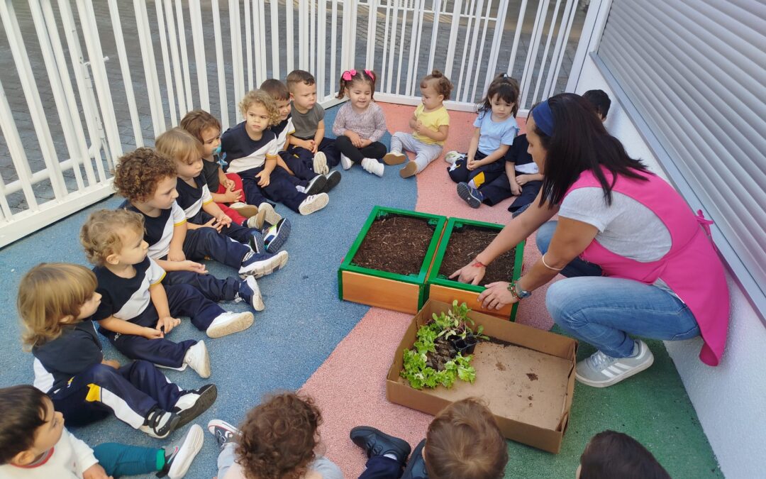 1º Ciclo de Infantil disfruta de sus nuevos «mini huertos»