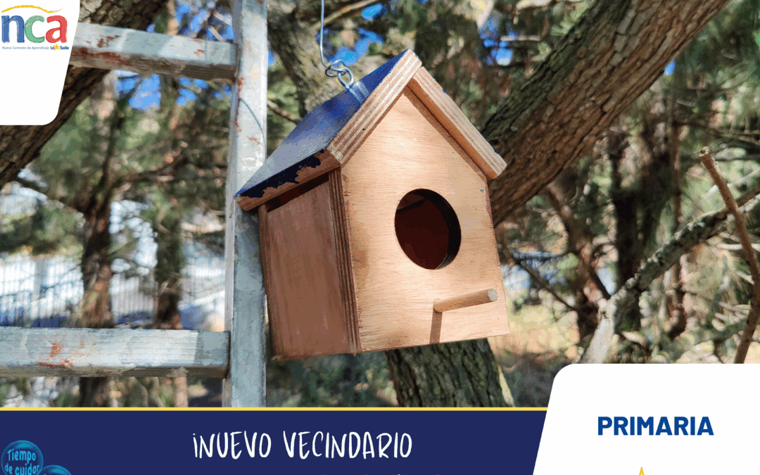 ¡Nuevo vecindario inaugurado en el cole!