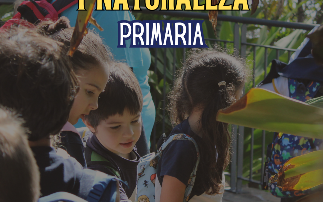 Una jornada de música y naturaleza para 1º, 2º y 3º de Primaria