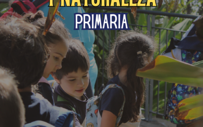 Una jornada de música y naturaleza para 1º, 2º y 3º de Primaria