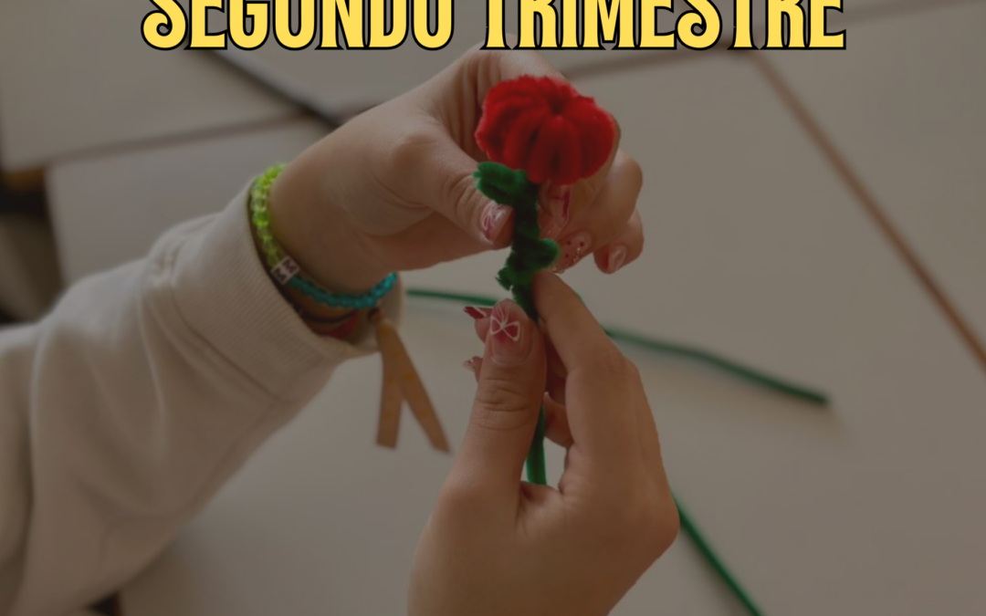 ¡PROYDE inicia su actividad programada para