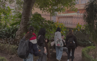 Movilidad Hungría-Tenerife| Día 4